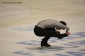 0_2714180_32982.jpg